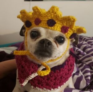 Crochet Royalty Pet Costume